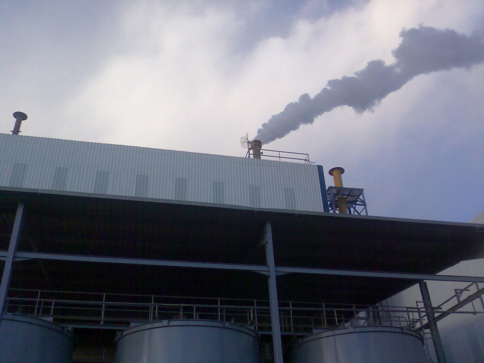 Plant & Equipment